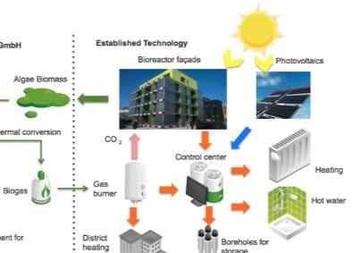 Taking Advantage of Nature’s Solar Panel:  Challenges and Opportunities of Biofuels
